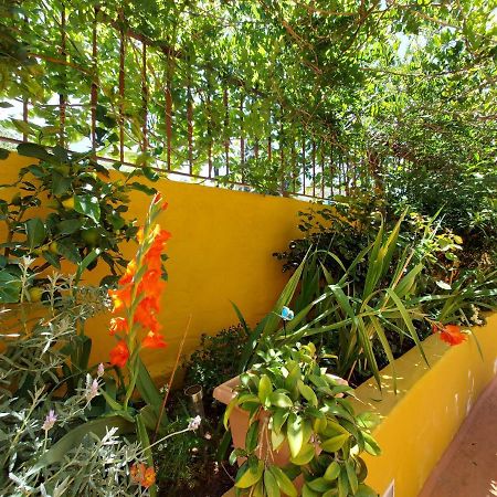 Casa Maestro Lelo - Acogedora Casa Rural Canaria Con Patios Y Jardines De Flores Las Palmas Exterior photo