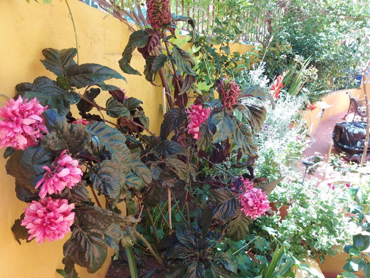 Casa Maestro Lelo - Acogedora Casa Rural Canaria Con Patios Y Jardines De Flores Las Palmas Exterior photo