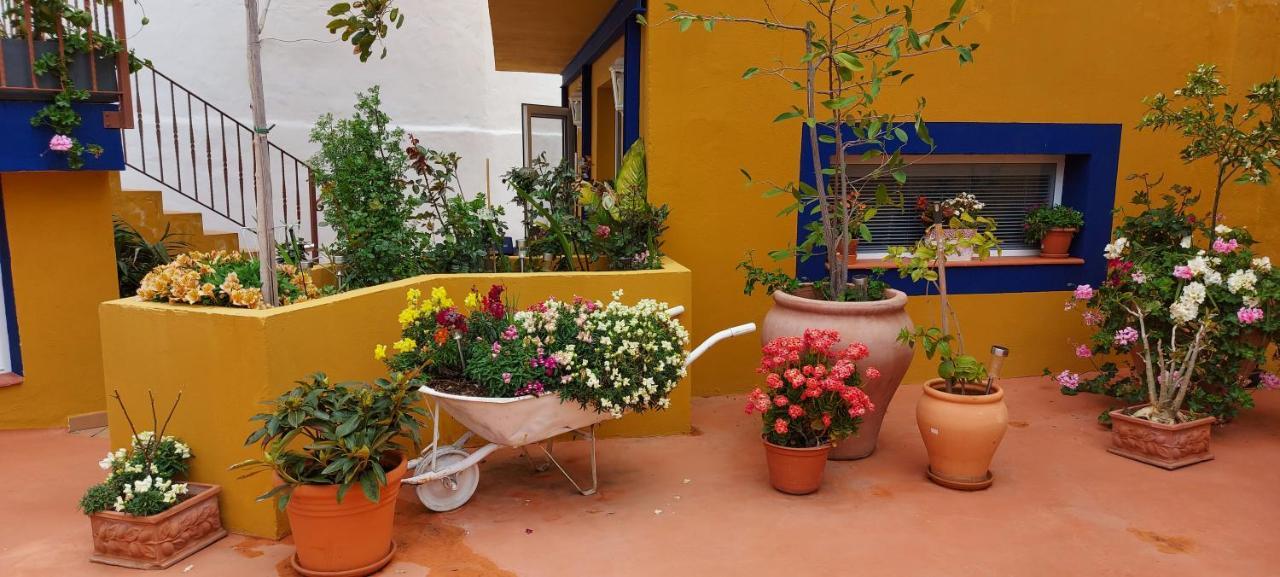 Casa Maestro Lelo - Acogedora Casa Rural Canaria Con Patios Y Jardines De Flores Las Palmas Exterior photo