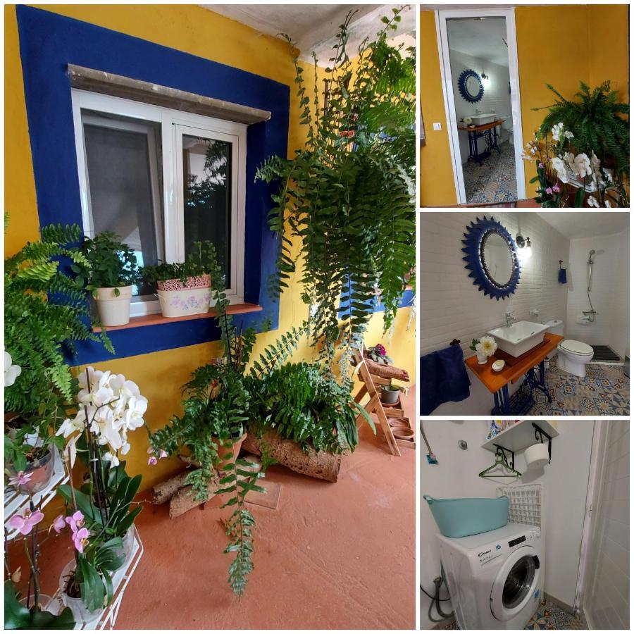 Casa Maestro Lelo - Acogedora Casa Rural Canaria Con Patios Y Jardines De Flores Las Palmas Exterior photo